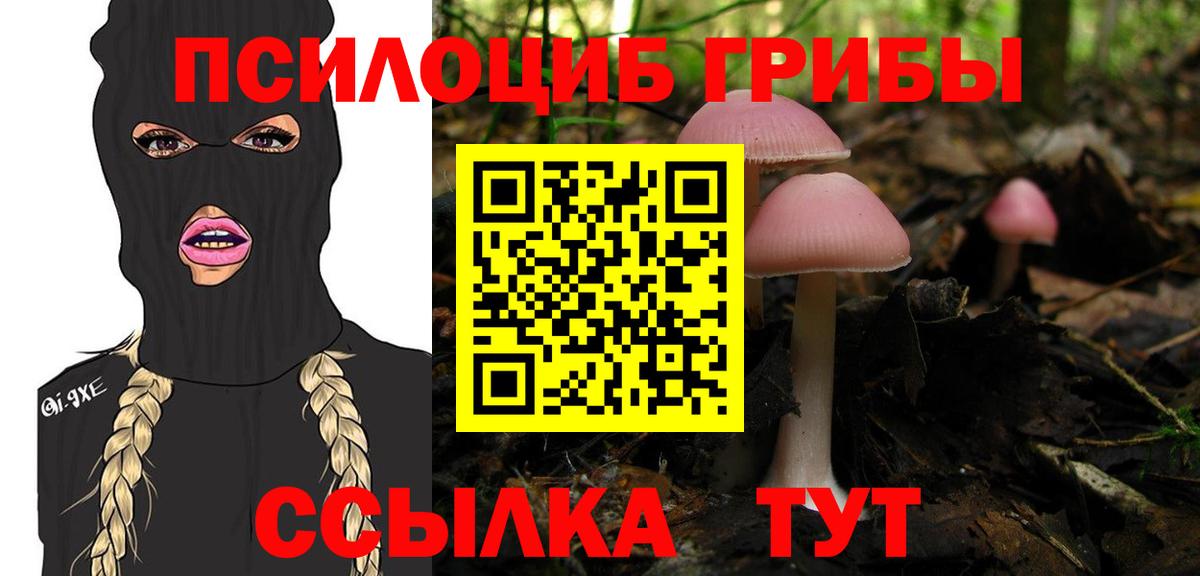 Нововоронеж  Галлюциногенные грибы мицелий  Вход с VPN 